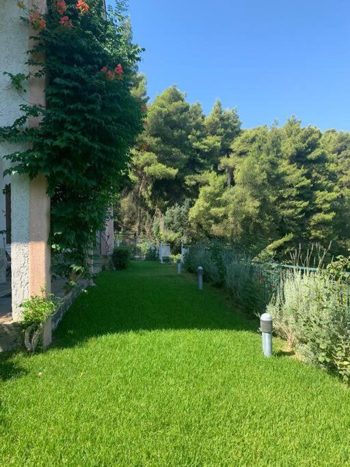 Amfiteatrico Sea View - Kalamos Attiki Appartement Markopoulon Oropou Buitenkant foto